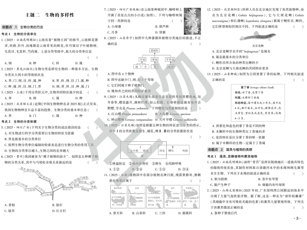 2026年中考临近,聚优真题试卷随时发货 第45张