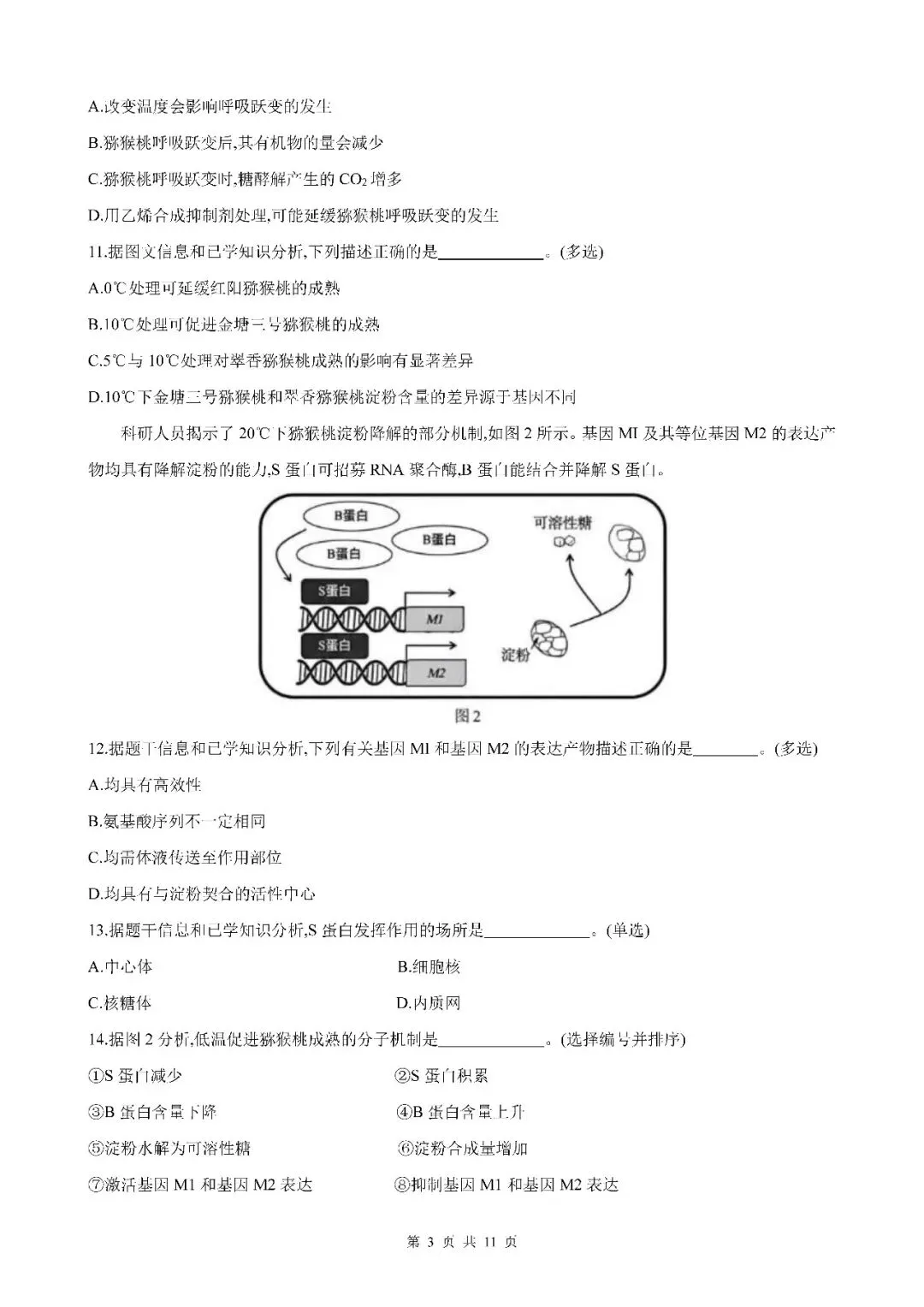 2026届上海市奉贤区高三二模生物试卷(含答案) 第3张