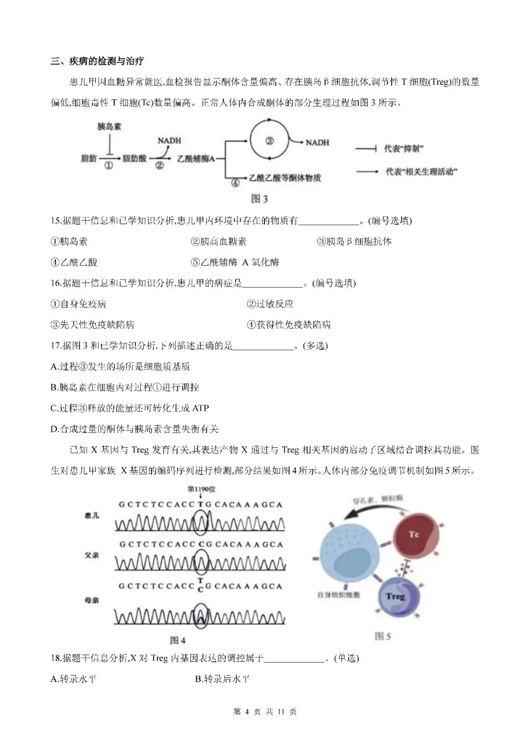 2026届上海市奉贤区高三二模生物试卷(含答案) 第4张