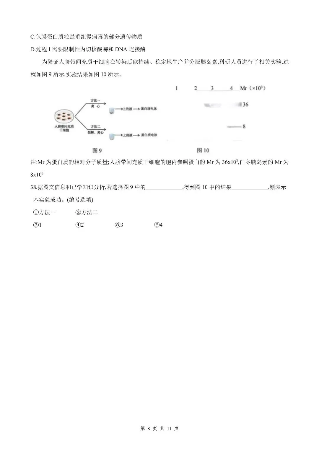 2026届上海市奉贤区高三二模生物试卷(含答案) 第8张
