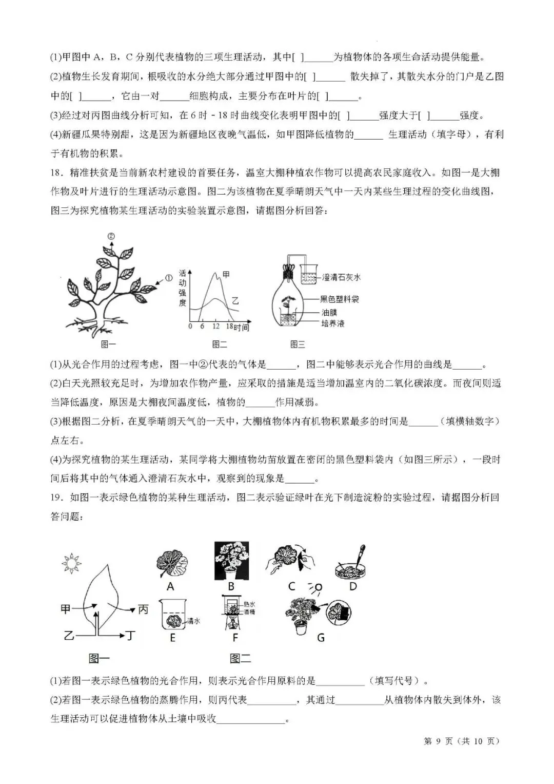 备战中考生物考试易错题||易错点05 绿色植物的三大生理作用 第6张