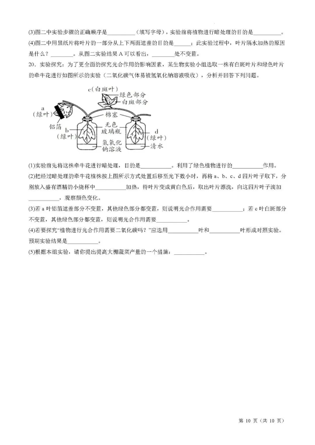 备战中考生物考试易错题||易错点05 绿色植物的三大生理作用 第7张