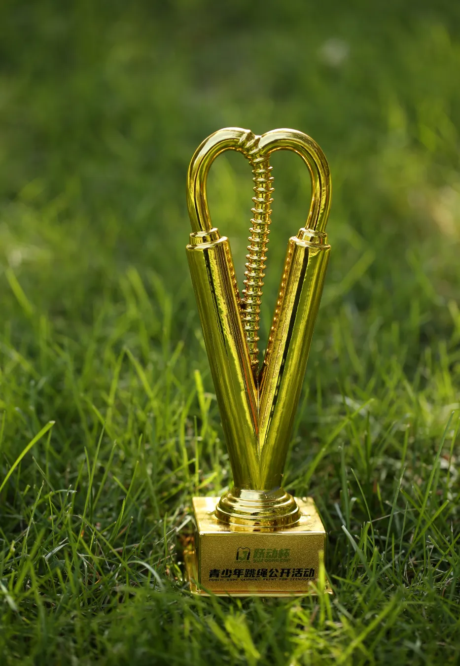 【中考认可】2026跃动杯全国跳绳赛报名入口|省赛+国赛|线上,五一劳动节拿国家级四证+奖牌,争章入团五育必冲!附证书获奖查询入口 第27张