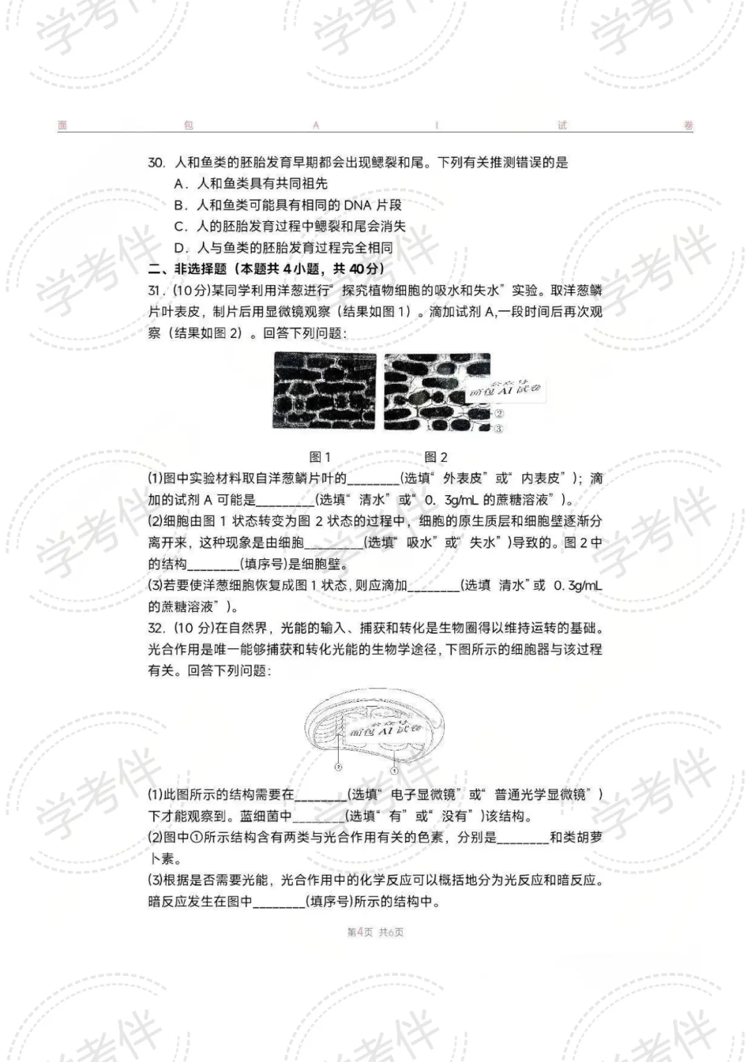 2025湖南高中学考往年试卷(全科) 第48张