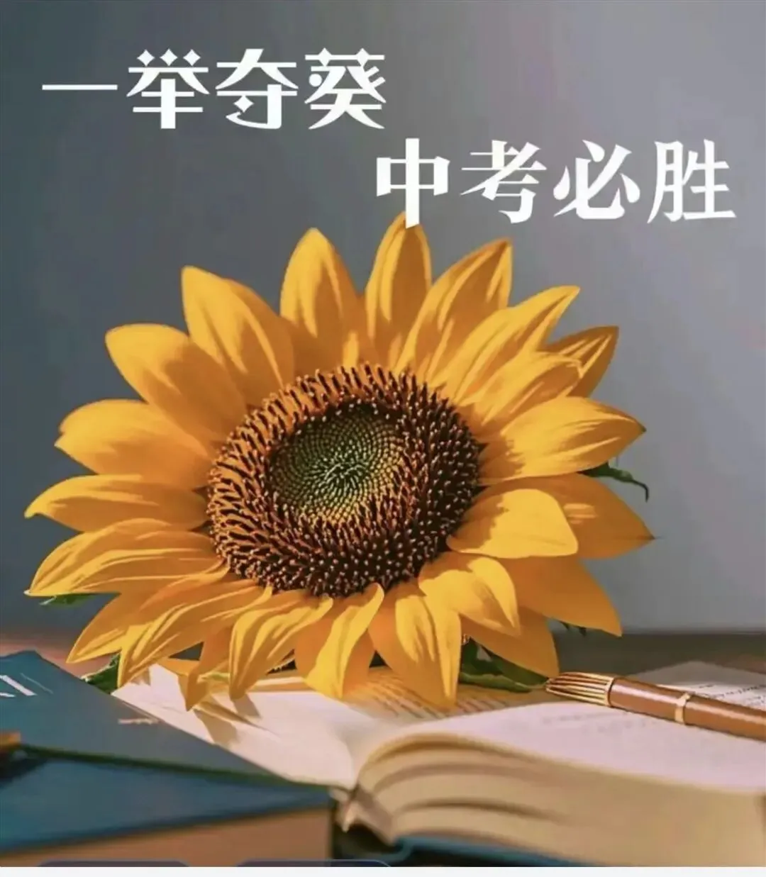 兰州中考数学二次函数【新题型】专项练习 第6张