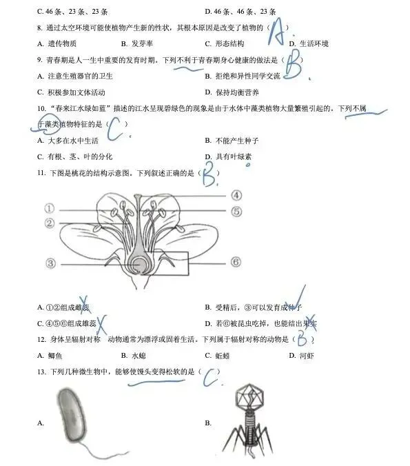 2023年上海市初中会考前练习生命科学试卷及作答 第2张
