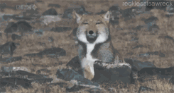 2023年上海市初中会考前练习生命科学试卷及作答 第10张