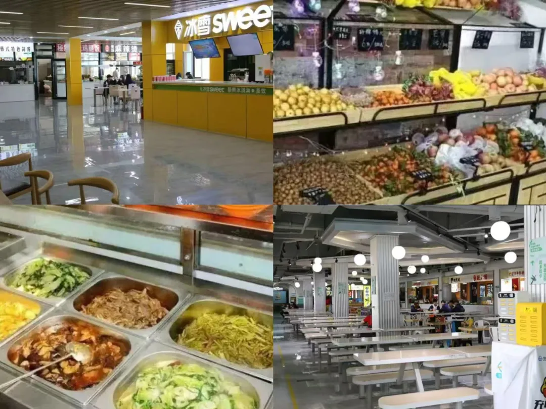 @2026中考考生,促升学、稳就业,青岛市捷能技术学校值得关注! 第33张