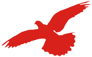 琢玉第二期(中考完形填空) 第5张