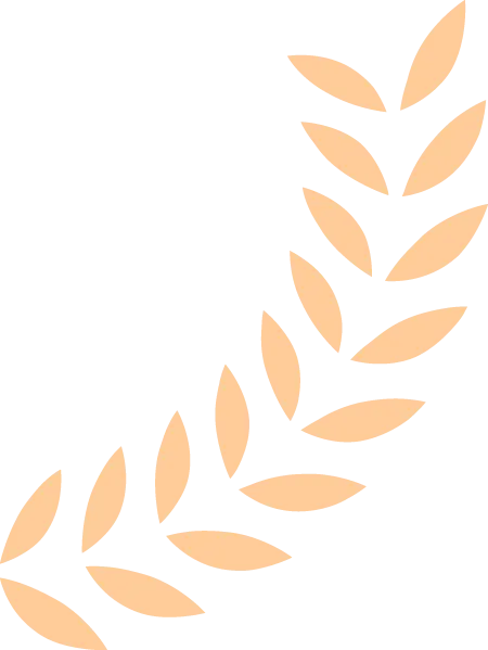 琢玉第二期(中考完形填空) 第7张