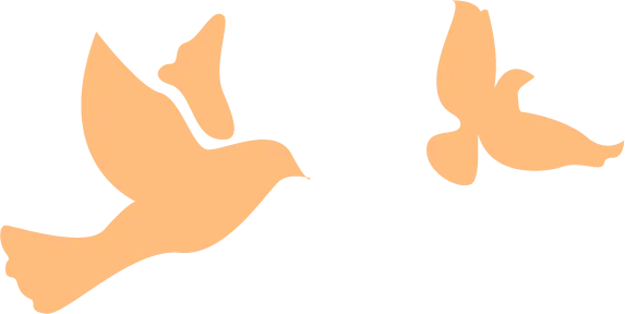 携手护航 圆梦中考——秀山初级中学2026届九年级家长会圆满举行 第27张 携手护航 圆梦中考——秀山初级中学2026届九年级家长会圆满举行 第27张