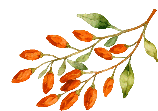 山西中考数学第23题 | 压轴题的破解之道 第12张