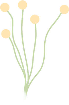 名师领航,备战中考 ——张岩名师传经送宝助备考 第3张