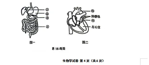 2023年辽宁省初中学业水平考试生物学试卷 第8张