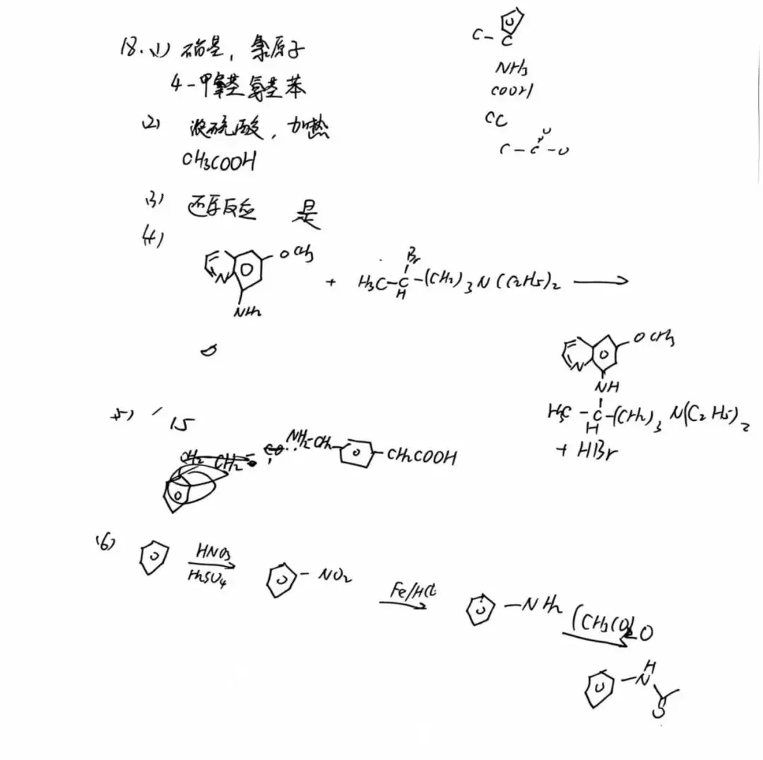 2026届湖南高一金太阳4月联考全科试卷以及答案分享 第2张