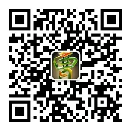 物理中考专题讲座13:受力分析专题 第20张