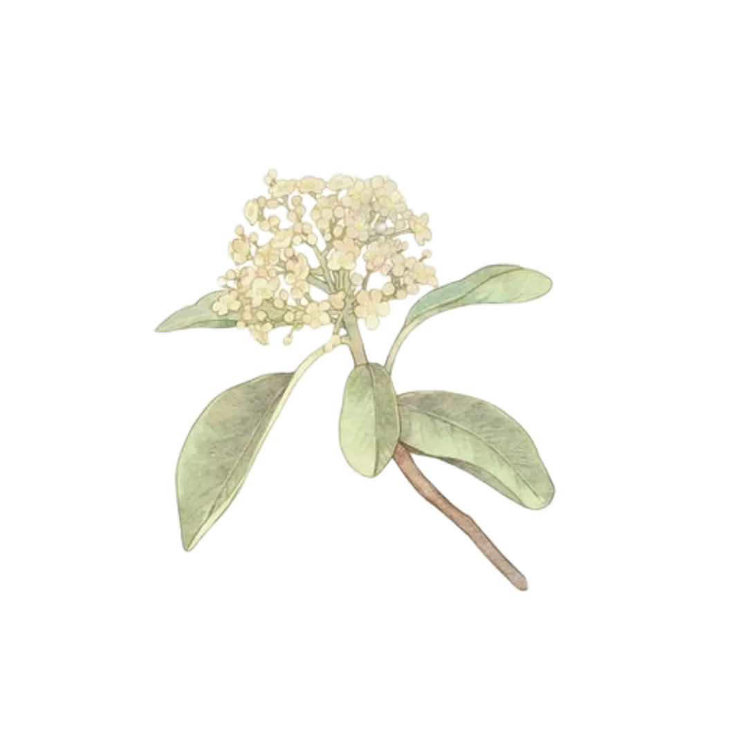 满分必看!2026年射阳县体育中考最新“剧透” 第7张 满分必看!2026年射阳县体育中考最新“剧透” 第7张