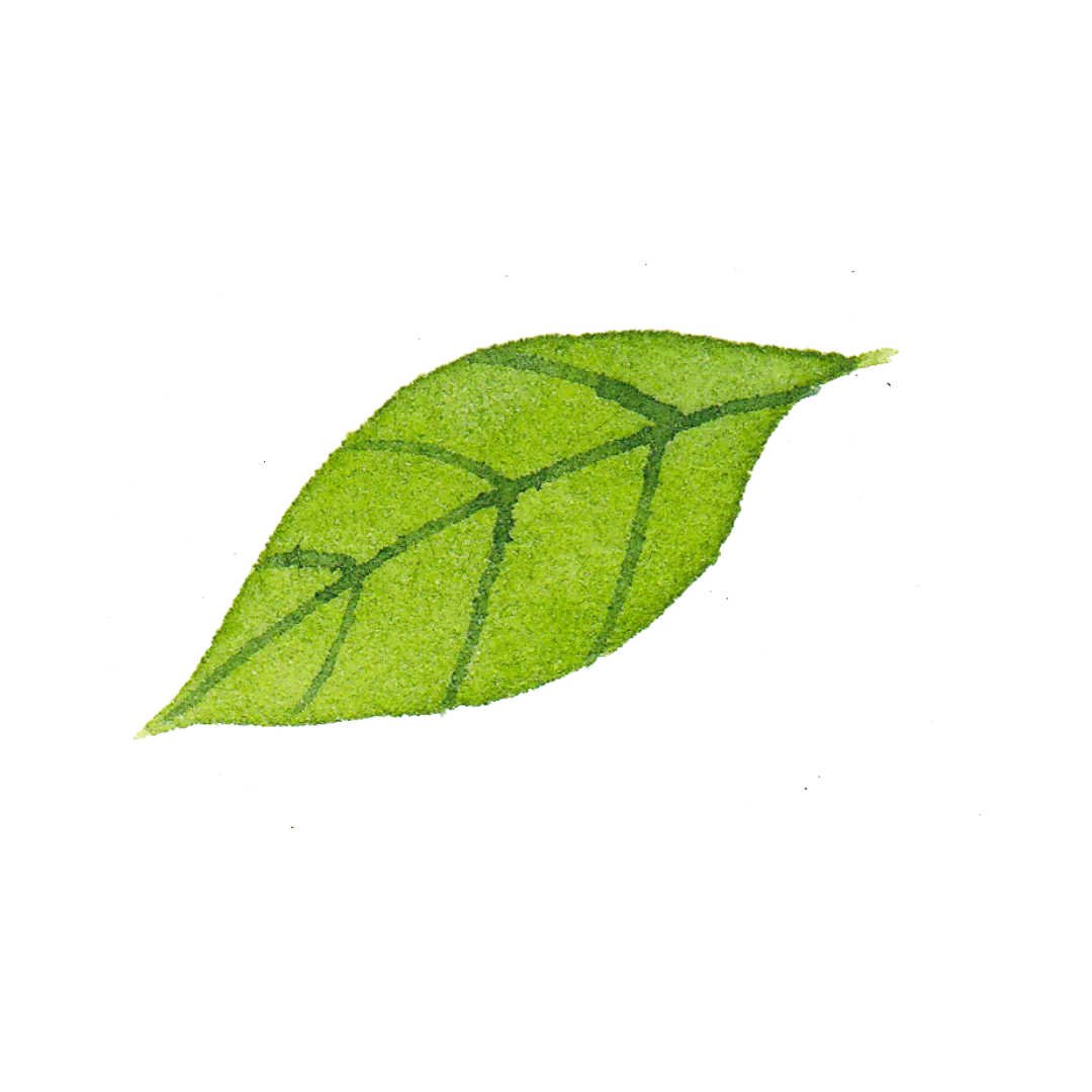 热血青春!直击射阳体育中考备考一线,初三学霸燃爆操场! 第13张