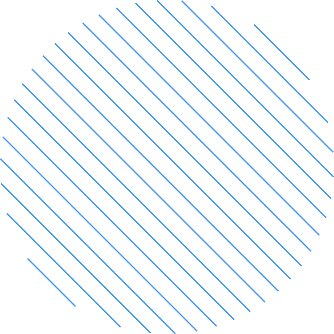 聚焦中考复习,共促质量跃升——2026年淳安县初中道德与法治·历史与社会学科复习研讨活动顺利举行 第2张