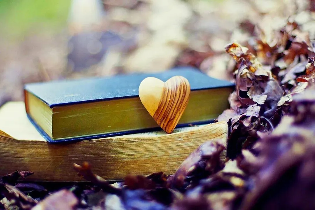 《为什么我的高考试卷总是白纸啊?》欣欣李医生丨全文-免费大结局 第3张