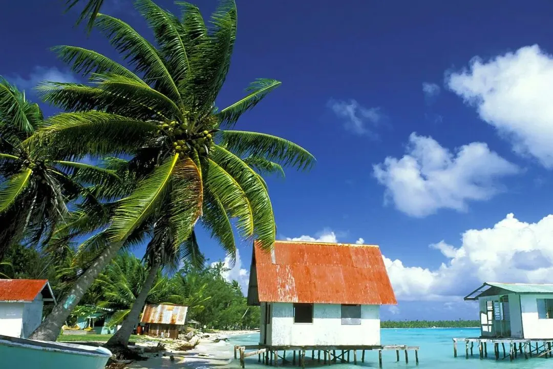 《为什么我的高考试卷总是白纸啊?》欣欣李医生丨全文-免费大结局 第5张