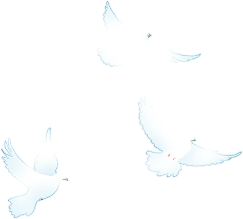 【国旗下讲话】以梦为马迎中考,安全文明同我行——佛子山中学2026年春季学期第七周升旗仪式 第7张