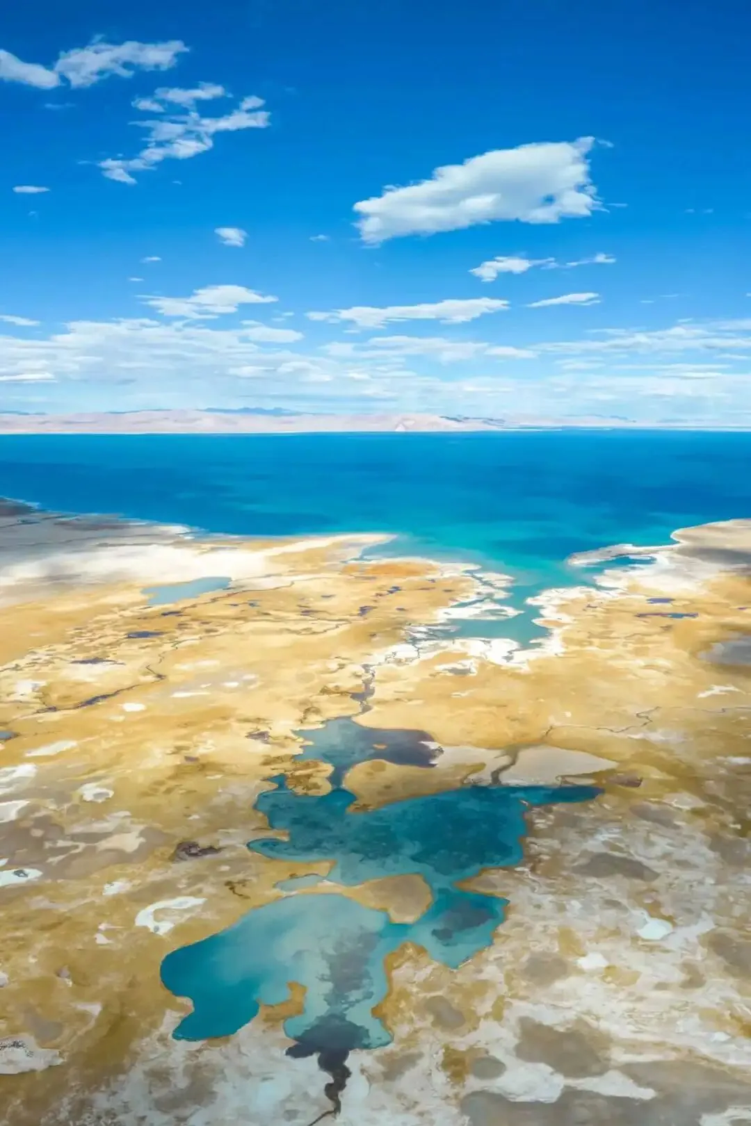 合肥市新站区2026年一模初中毕业学业考试模拟数学试卷和答案 第7张