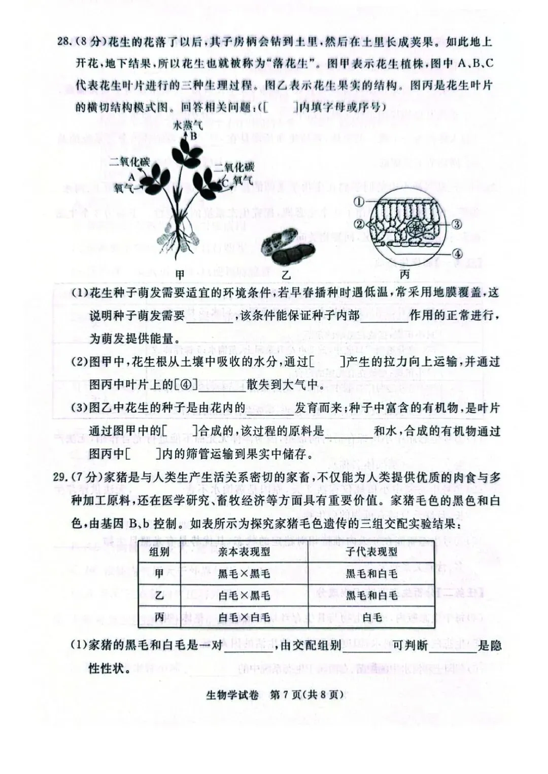 2026年河北省初中学业摸底考试生物试卷 第7张