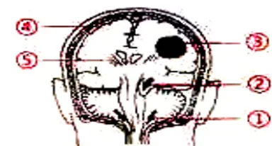 图书精,精于真题丨方正护考配套资料考题频现 第30张