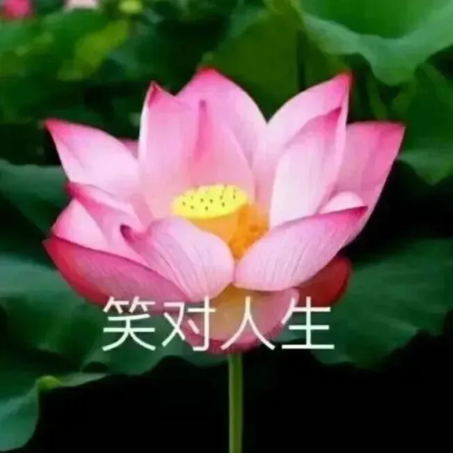 3月7日雅思笔试写作真题分析+高分范文|减少青少年犯罪的最佳方法是培训父母的育儿技能? 第9张