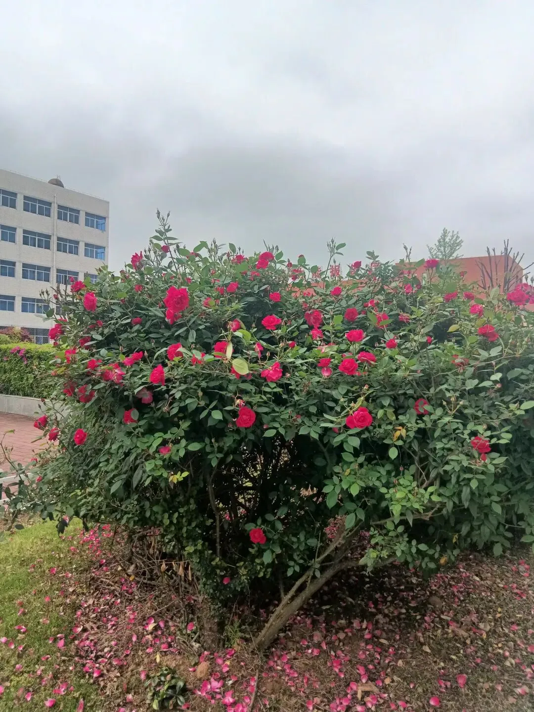 【高考语文】高考语文文言文翻译题历年真题核心得分点整理 第1张 【高考语文】高考语文文言文翻译题历年真题核心得分点整理 第1张