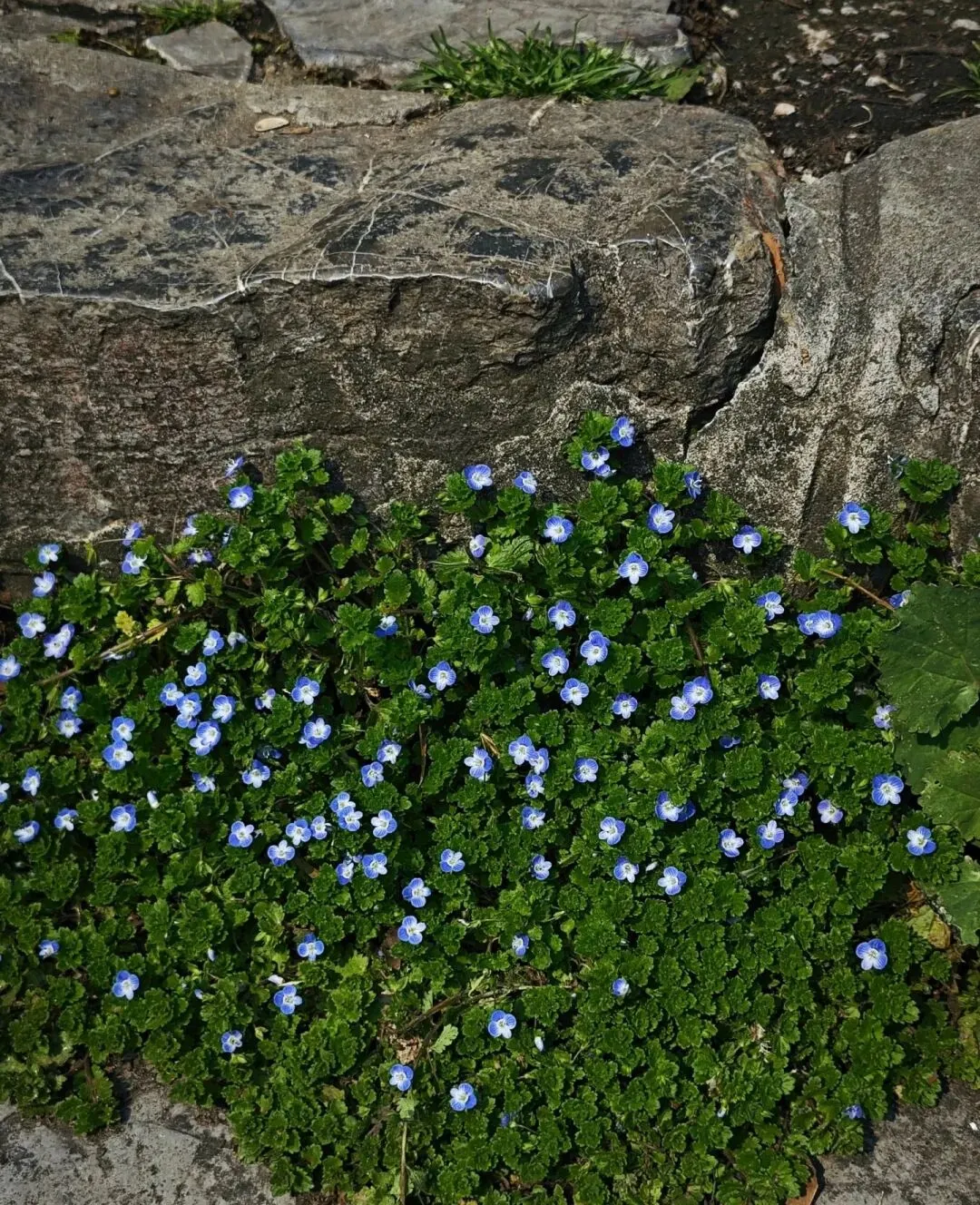 中考高分成长文素材:高敏感也是闪光点(附一材多用和仿写)) 第2张 中考高分成长文素材:高敏感也是闪光点(附一材多用和仿写)) 第2张