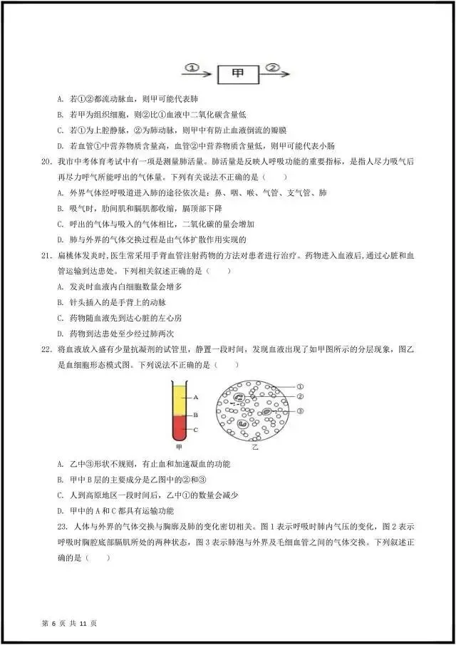 (2026北师大版)初一七下生物:期中考试模拟卷(含答案解析),完整电子版可打印! 第11张