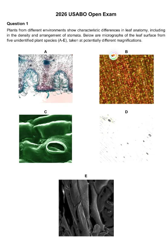 2003-2026年USABO历年真题答案解析,拿走直接刷! 第2张