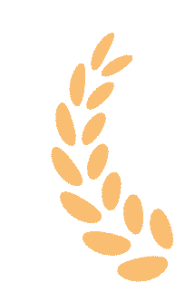 《2026山东中考押题密卷》火热预售中! 第5张