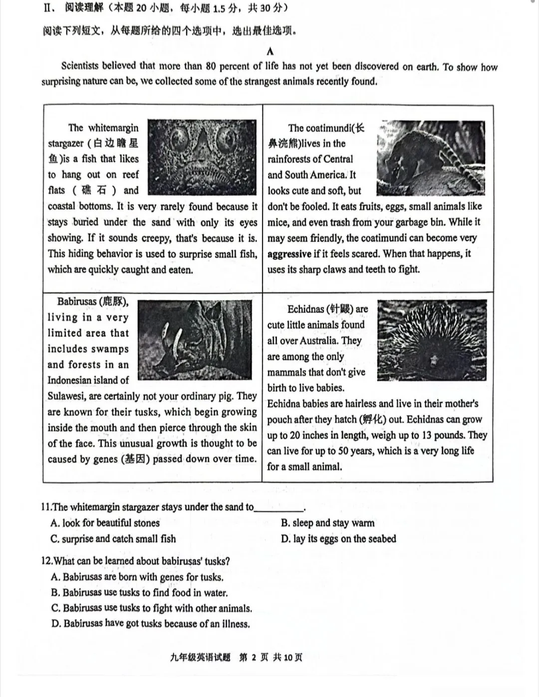 2026青岛市南区英语中考一模真题 第2张