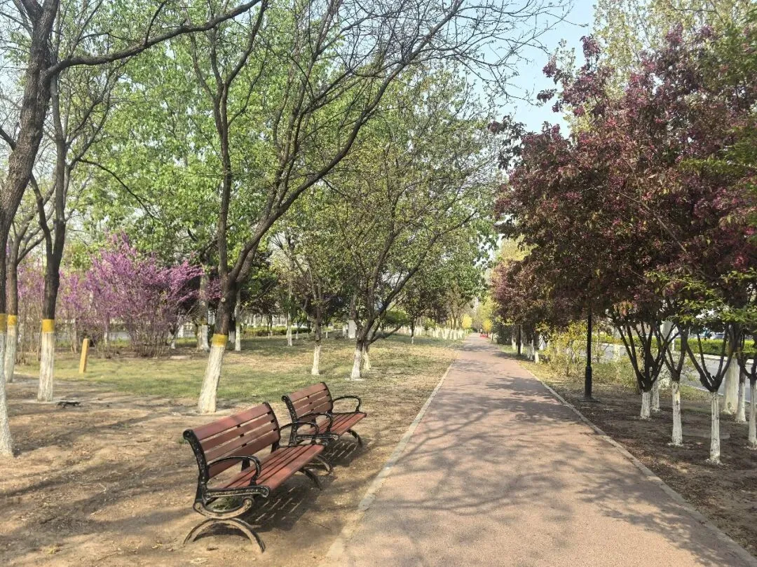 中考之前的模拟考试感到害怕,会做的题目突然不会了,这个训练可以帮助你 第1张 中考之前的模拟考试感到害怕,会做的题目突然不会了,这个训练可以帮助你 第1张