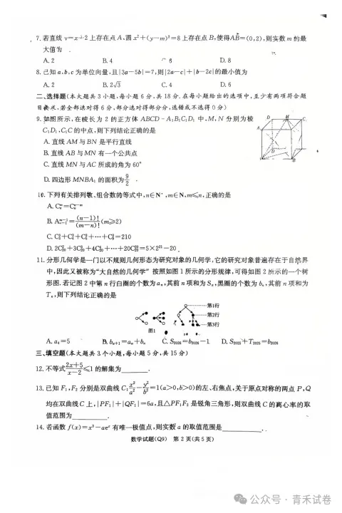 湖南省长沙市一中2026届高三月考试卷(九)试卷及答案 第5张