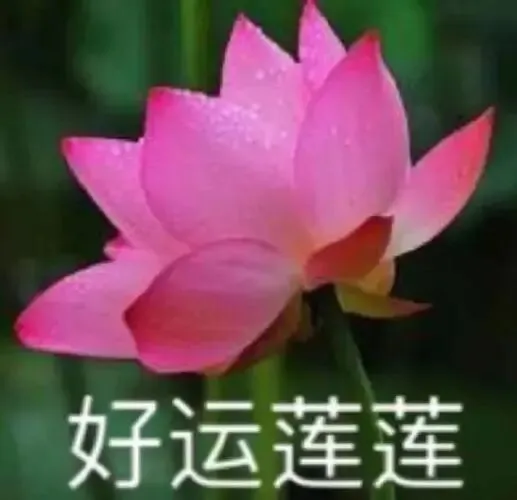 同济大学历年期中期末真题!�� 第11张