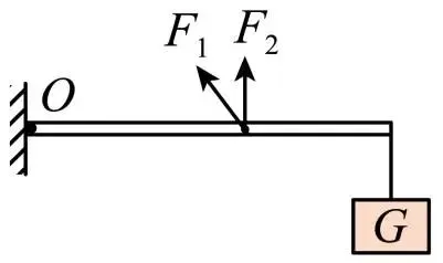 【第903期】公益课堂:【九年级中考第一轮复习 专题15《杠杆的平衡条件》】(九年级第二学期复习教学) 第6张