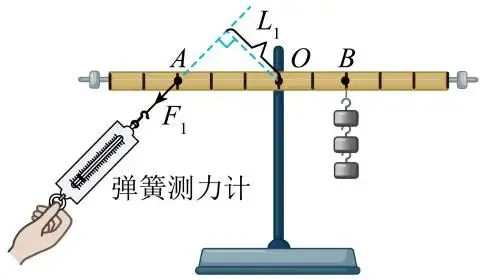 【第903期】公益课堂:【九年级中考第一轮复习 专题15《杠杆的平衡条件》】(九年级第二学期复习教学) 第9张