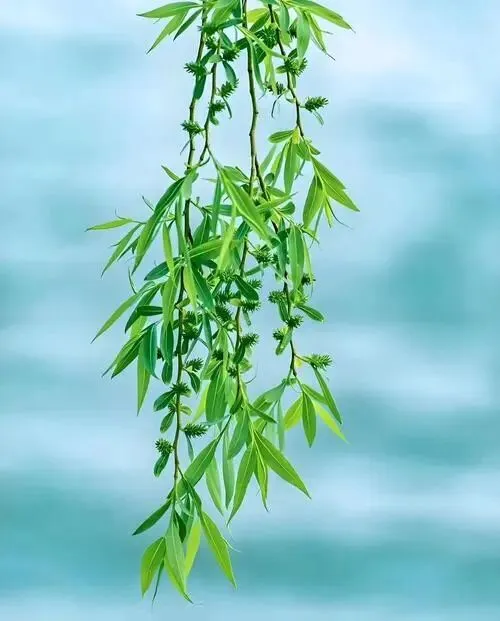 浙江省近三年中考古诗文理解性默写真题集锦(含答案) 第1张