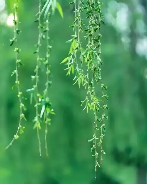 浙江省近三年中考古诗文理解性默写真题集锦(含答案) 第2张