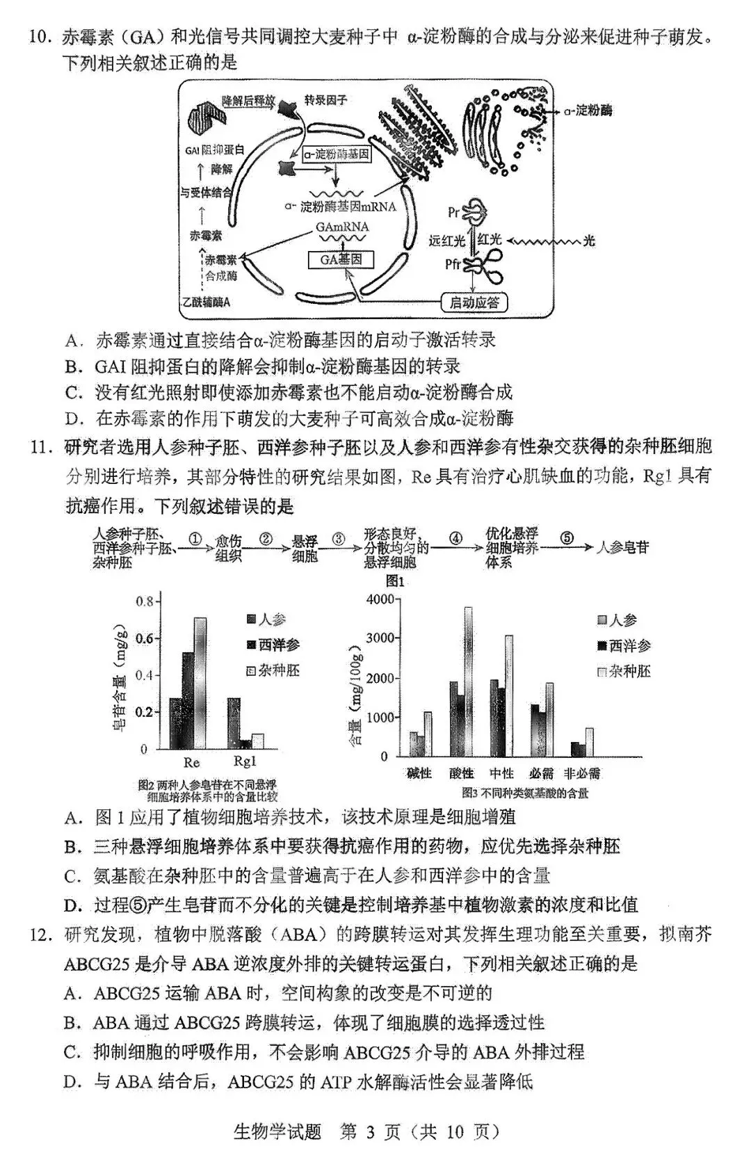 2026届黑龙江省哈尔滨市高三第一次模拟考试生物学试题 第4张
