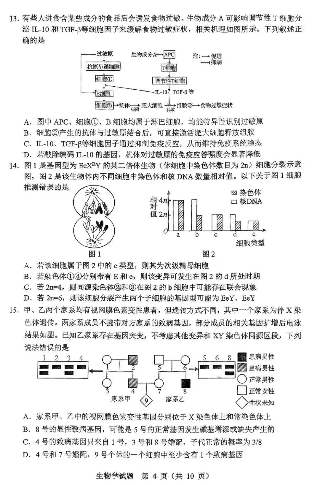 2026届黑龙江省哈尔滨市高三第一次模拟考试生物学试题 第5张