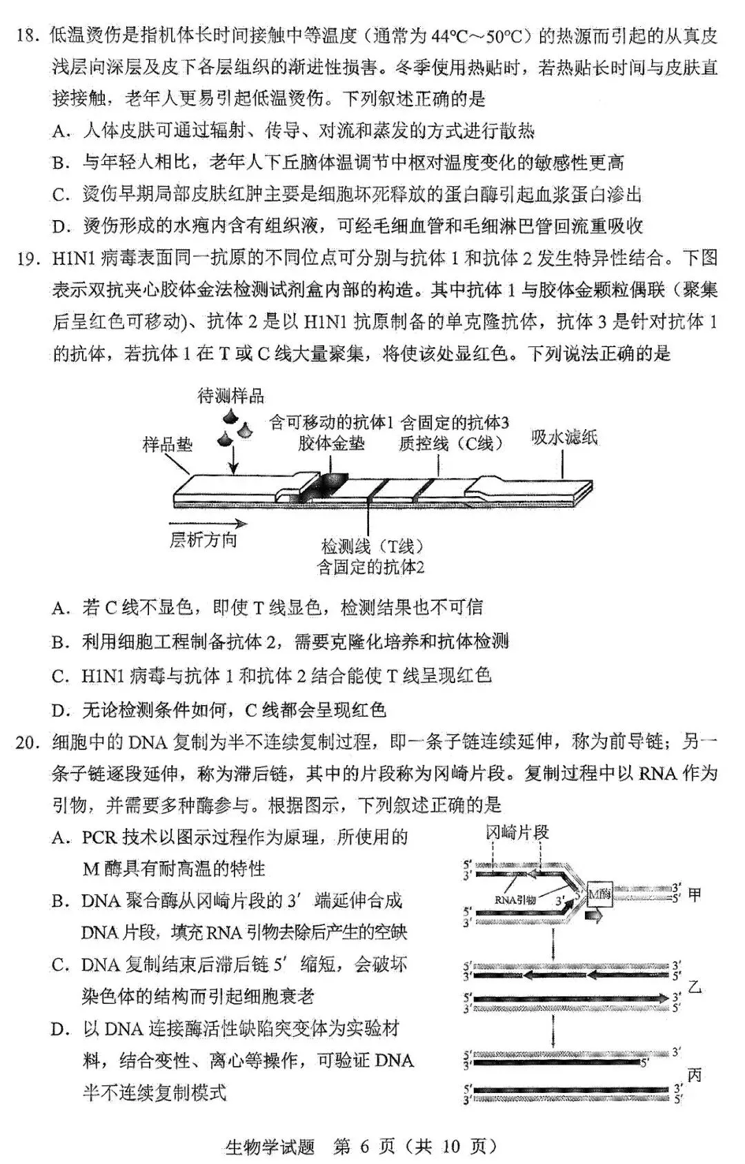 2026届黑龙江省哈尔滨市高三第一次模拟考试生物学试题 第7张