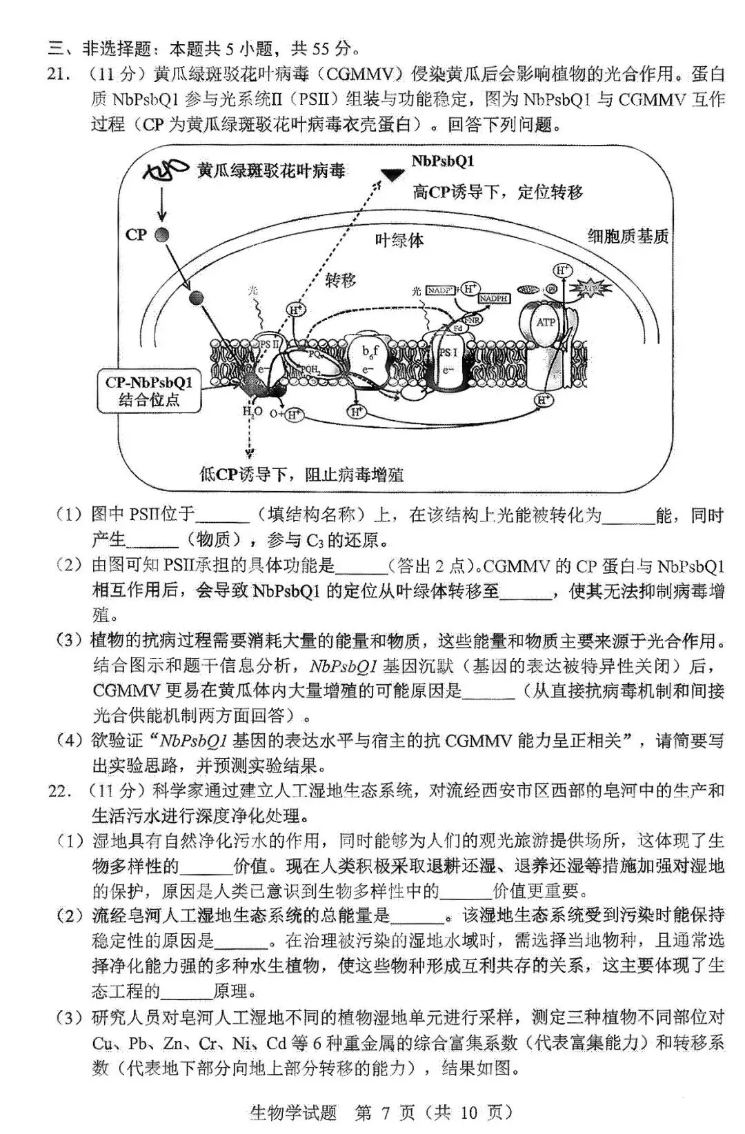 2026届黑龙江省哈尔滨市高三第一次模拟考试生物学试题 第8张