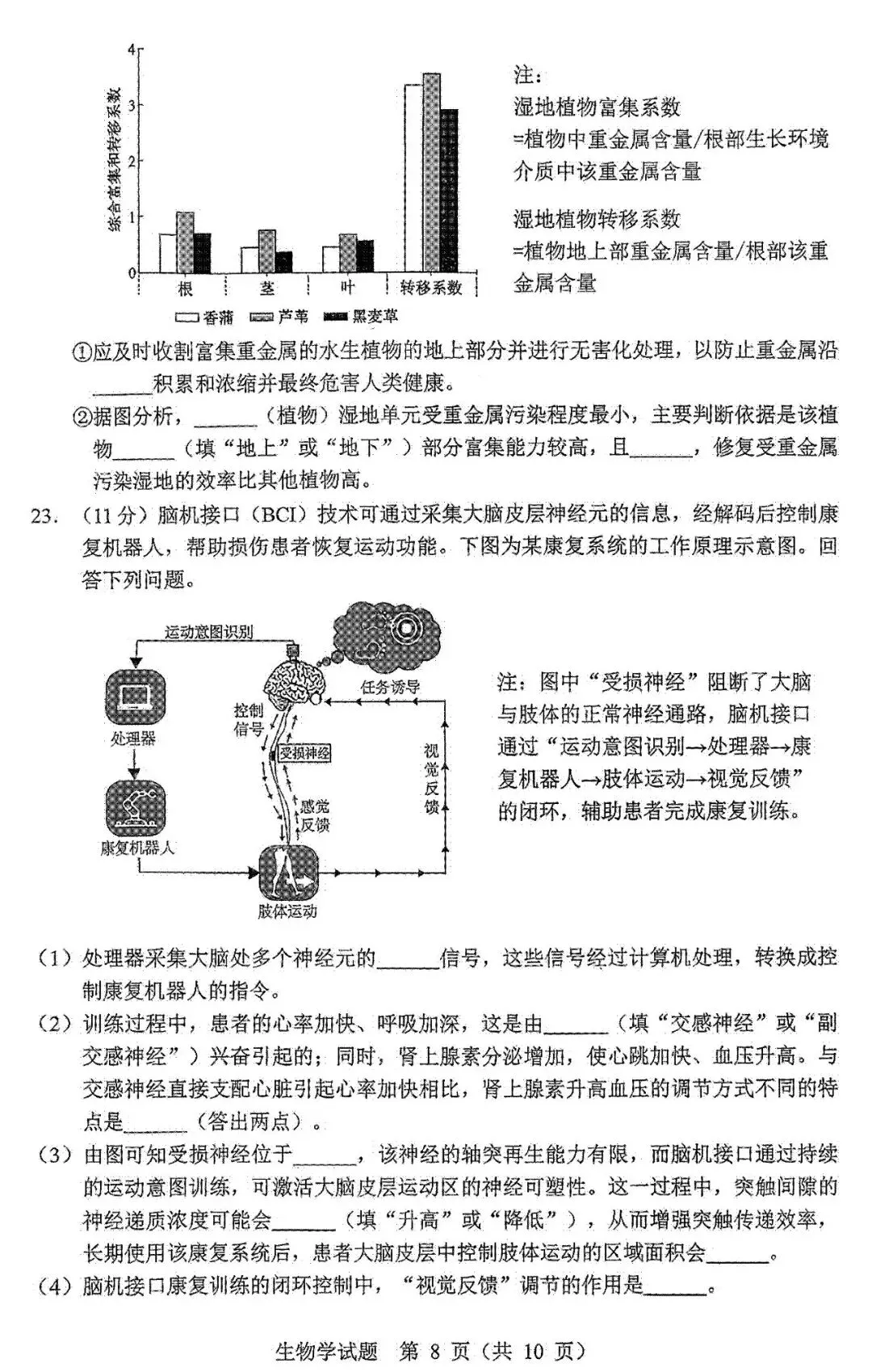 2026届黑龙江省哈尔滨市高三第一次模拟考试生物学试题 第9张