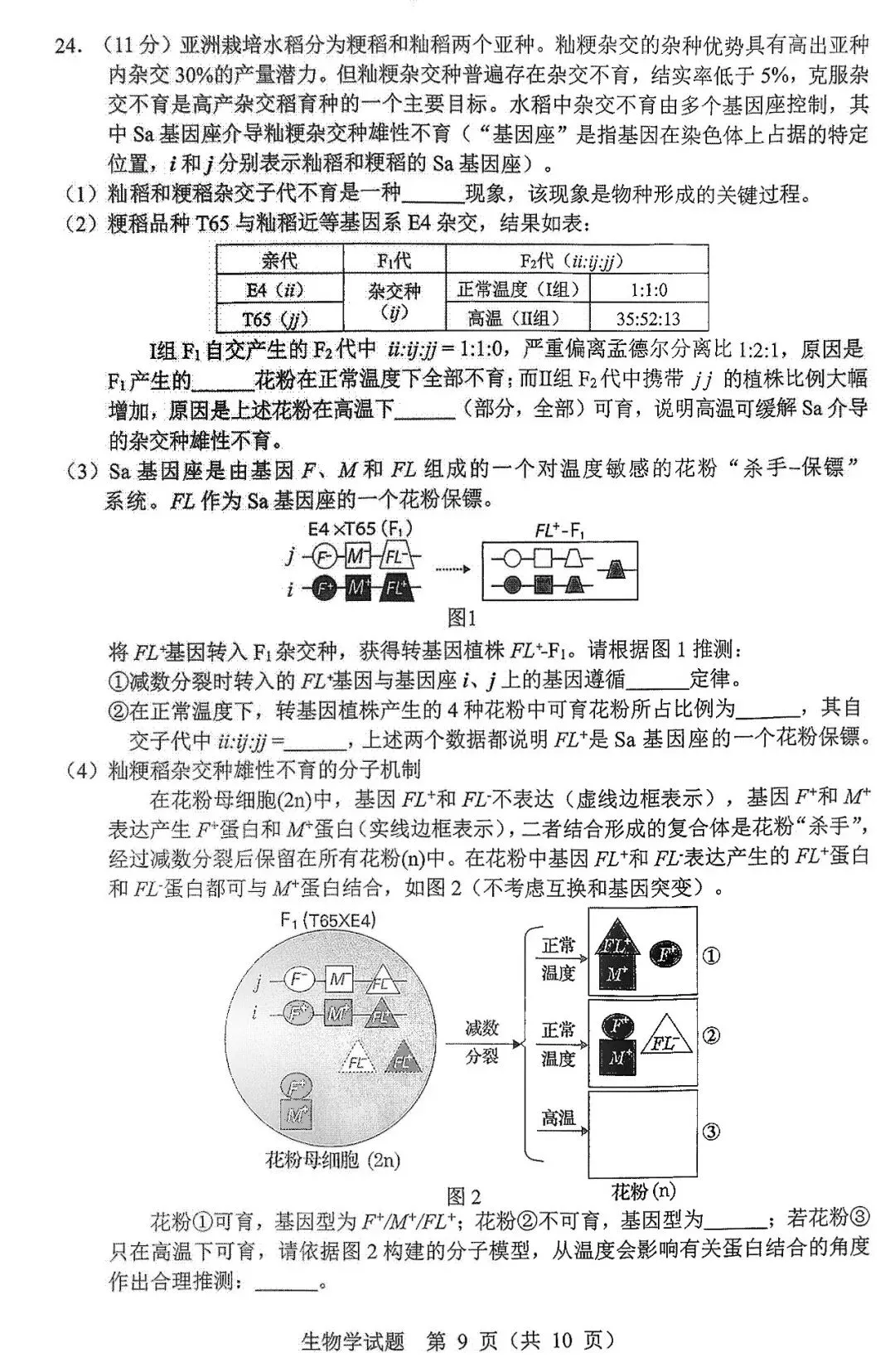 2026届黑龙江省哈尔滨市高三第一次模拟考试生物学试题 第10张