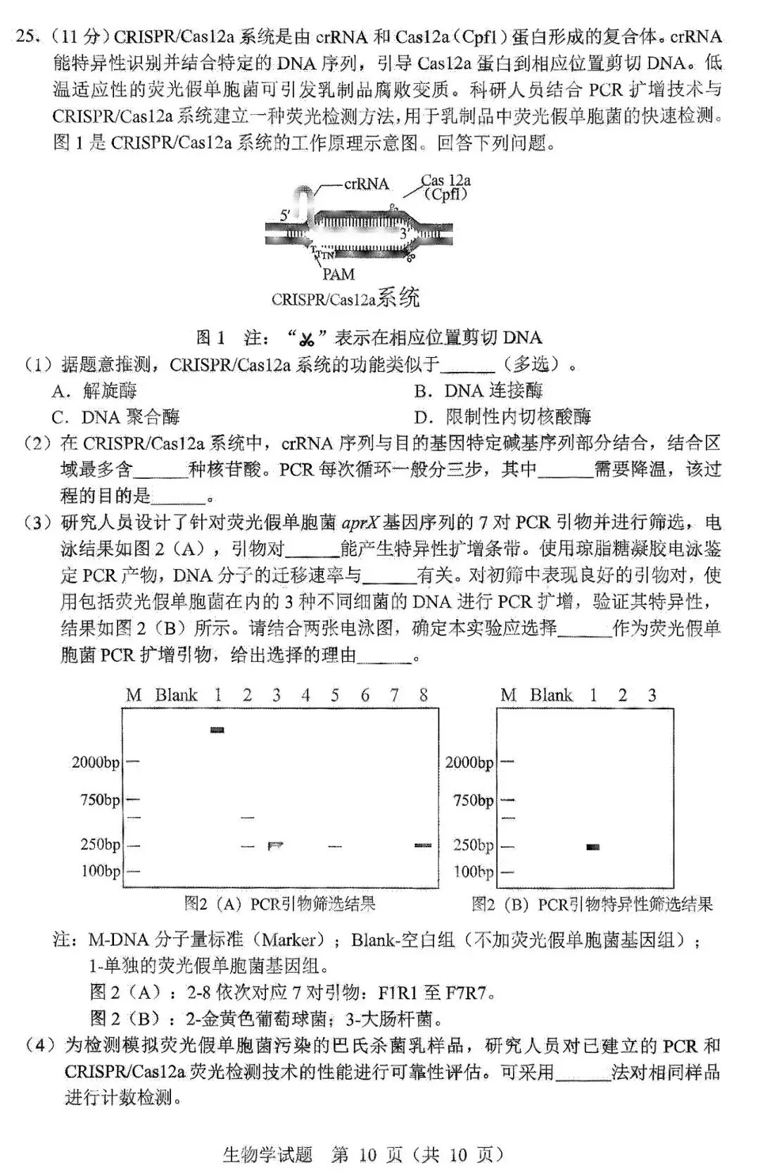 2026届黑龙江省哈尔滨市高三第一次模拟考试生物学试题 第11张